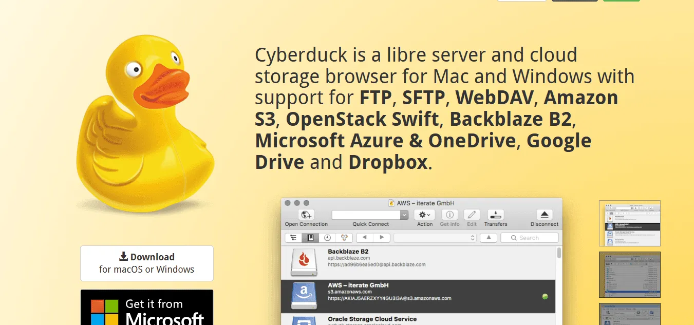 Cyber-Duck