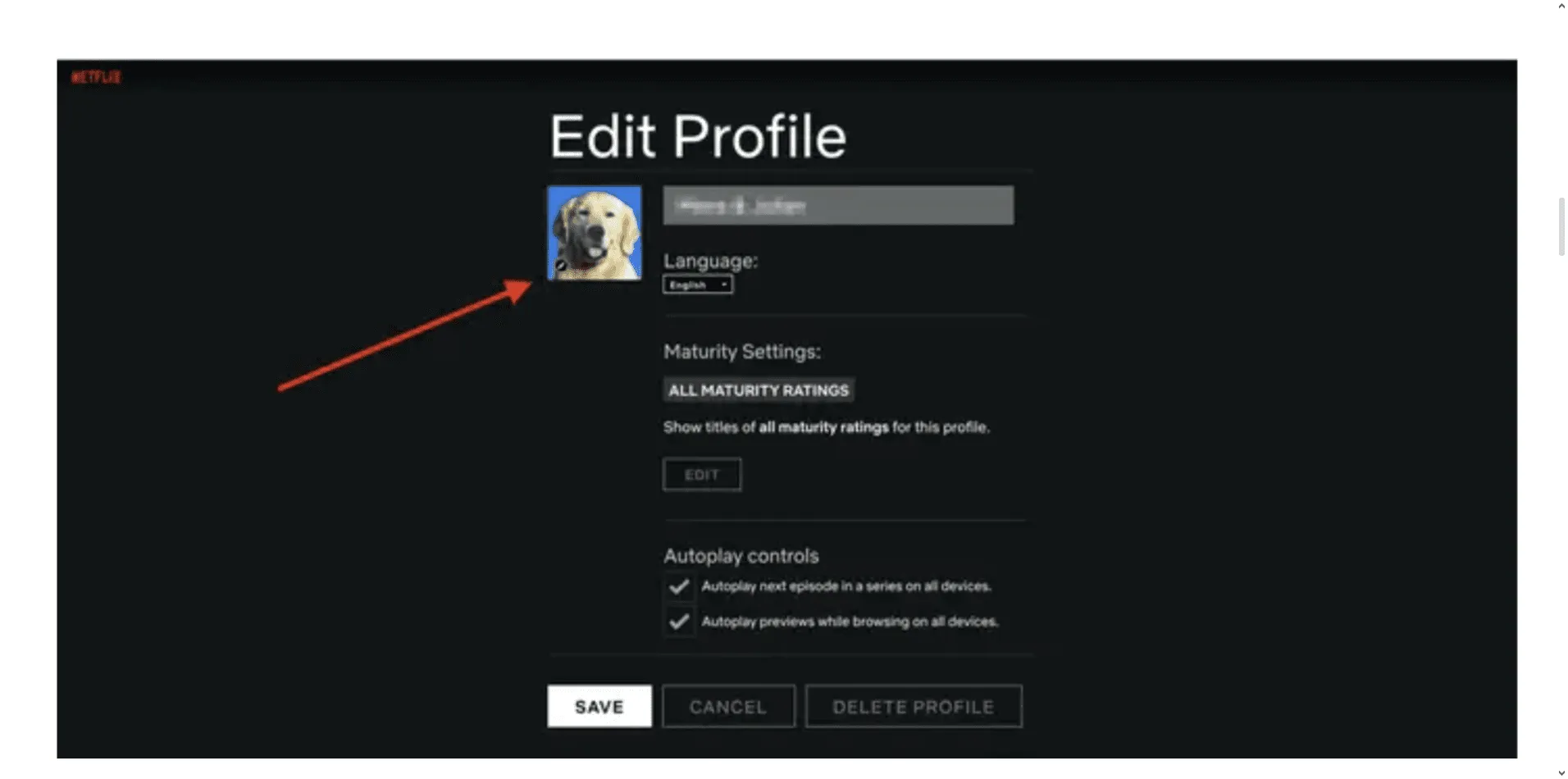 Netflix profile settings interface showing multiple user profiles with customization options for language, maturity levels, and personalization.