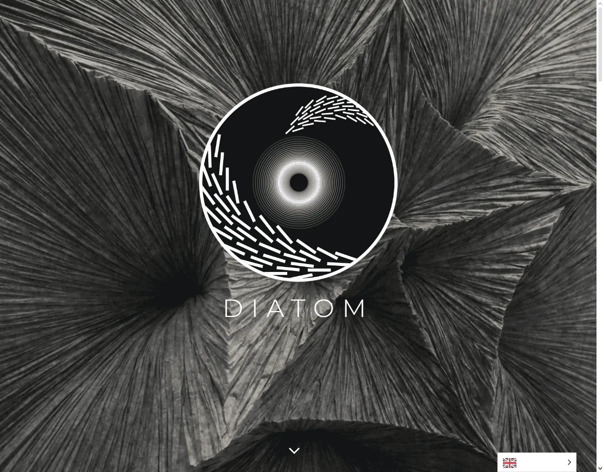 Diatom Studio – UX agency for oil and gas dashboards, logistics UIs, and control platforms.